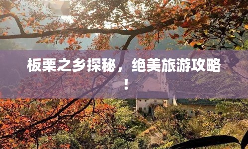 板栗之鄉(xiāng)探秘，絕美旅游攻略！