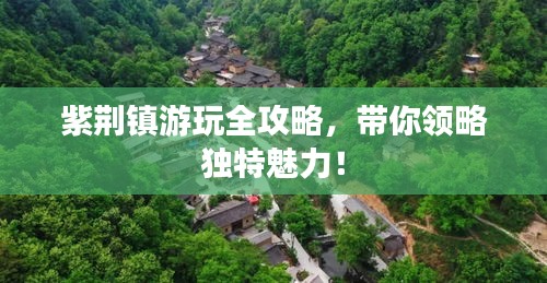 紫荊鎮(zhèn)游玩全攻略，帶你領(lǐng)略獨特魅力！