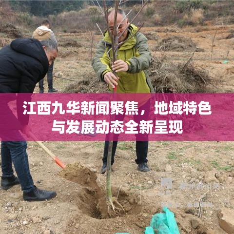 江西九華新聞聚焦，地域特色與發(fā)展動(dòng)態(tài)全新呈現(xiàn)
