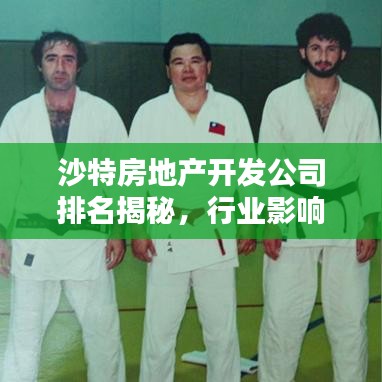 沙特房地產(chǎn)開發(fā)公司排名揭秘，行業(yè)影響力不容小覷