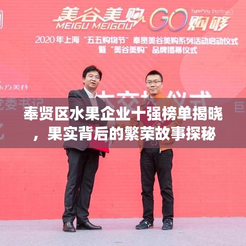 奉賢區(qū)水果企業(yè)十強(qiáng)榜單揭曉，果實(shí)背后的繁榮故事探秘