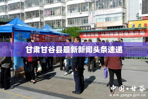 甘肅甘谷縣最新新聞頭條速遞