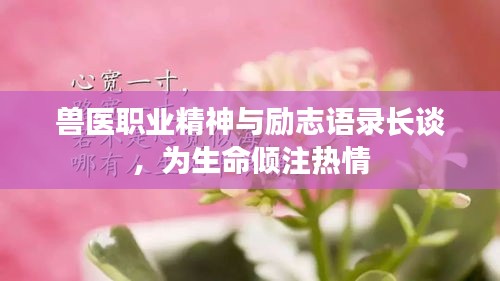 獸醫(yī)職業(yè)精神與勵志語錄長談，為生命傾注熱情