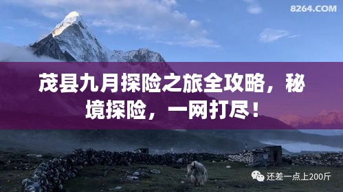 后會(huì)無期 第2頁