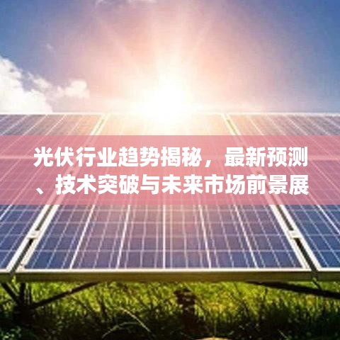 初告白 第2頁