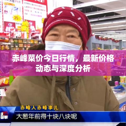 赤峰菜價(jià)今日行情，最新價(jià)格動(dòng)態(tài)與深度分析