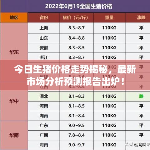 今日生豬價格走勢揭秘，最新市場分析預(yù)測報告出爐！