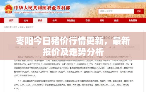 棗陽(yáng)今日豬價(jià)行情更新，最新報(bào)價(jià)及走勢(shì)分析