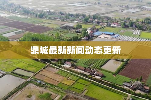 鼎城最新新聞動態(tài)更新