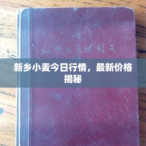 新鄉(xiāng)小麥今日行情，最新價(jià)格揭秘