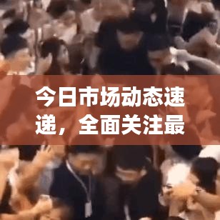 今日市場動態(tài)速遞，全面關(guān)注最新消息與新聞熱點(diǎn)