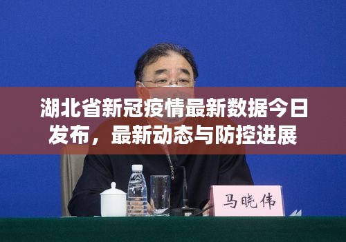 湖北省新冠疫情最新數(shù)據(jù)今日發(fā)布，最新動(dòng)態(tài)與防控進(jìn)展