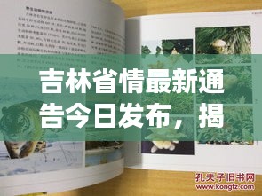 吉林省情最新通告今日發(fā)布，揭秘最新動態(tài)與變化！
