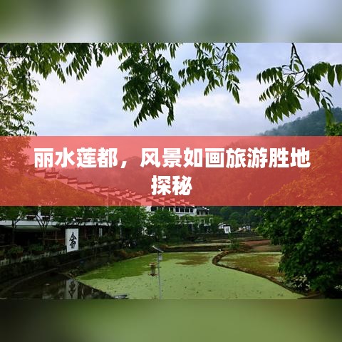 麗水蓮都，風(fēng)景如畫旅游勝地探秘