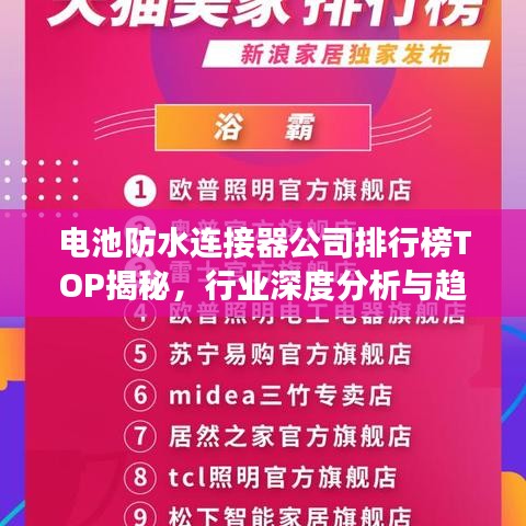 狗尾續(xù)貂 第2頁(yè)
