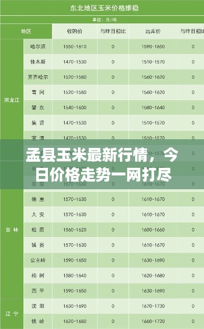 孟縣玉米最新行情，今日價(jià)格走勢(shì)一網(wǎng)打盡
