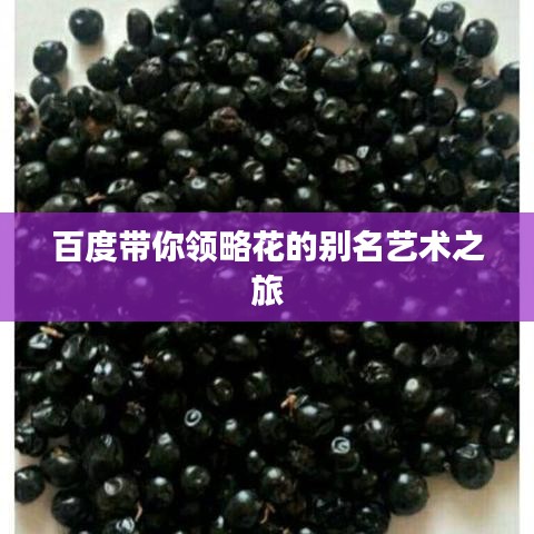 高人雅士 第2頁(yè)