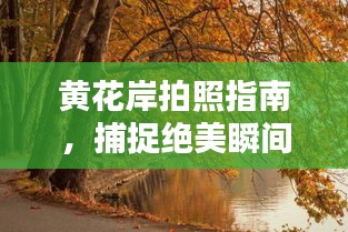黃花岸拍照指南，捕捉絕美瞬間攻略