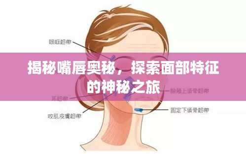 揭秘嘴唇奧秘，探索面部特征的神秘之旅