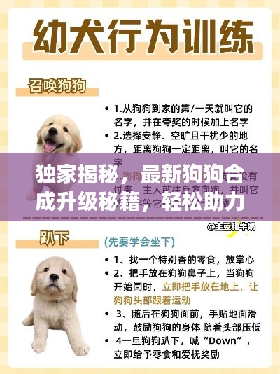 獨家揭秘，最新狗狗合成升級秘籍，輕松助力狗狗飛速成長！