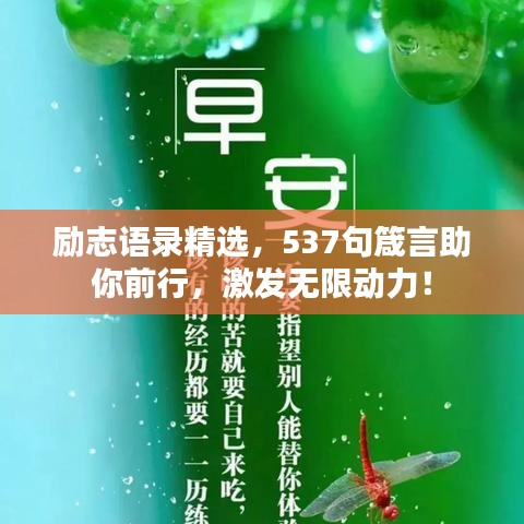 勵志語錄精選，537句箴言助你前行，激發(fā)無限動力！