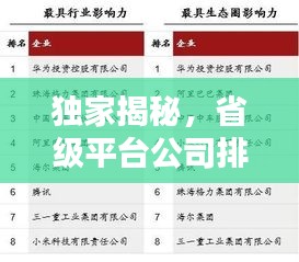 獨(dú)家揭秘，省級(jí)平臺(tái)公司排名榜單解析！