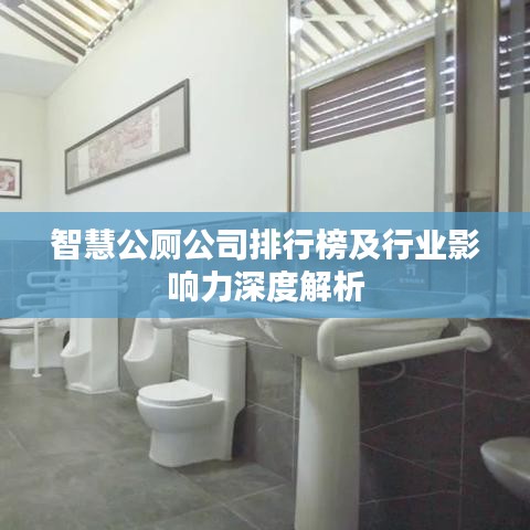 智慧公廁公司排行榜及行業(yè)影響力深度解析