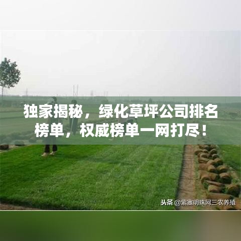 獨(dú)家揭秘，綠化草坪公司排名榜單，權(quán)威榜單一網(wǎng)打盡！