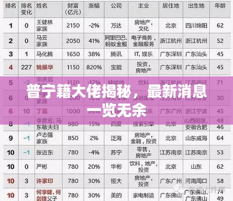 普寧籍大佬揭秘，最新消息一覽無余