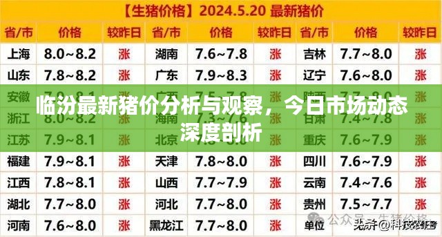 臨汾最新豬價(jià)分析與觀察，今日市場(chǎng)動(dòng)態(tài)深度剖析