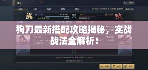 狗刀最新搭配攻略揭秘，實戰(zhàn)戰(zhàn)法全解析！