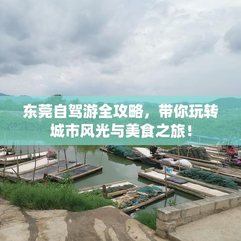 東莞自駕游全攻略，帶你玩轉(zhuǎn)城市風(fēng)光與美食之旅！