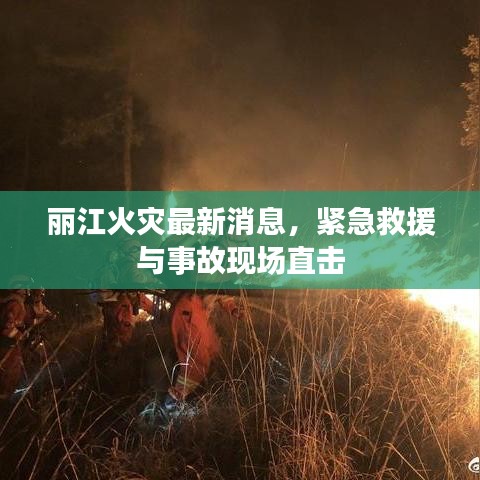 麗江火災(zāi)最新消息，緊急救援與事故現(xiàn)場(chǎng)直擊