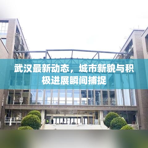 武漢最新動態(tài)，城市新貌與積極進展瞬間捕捉
