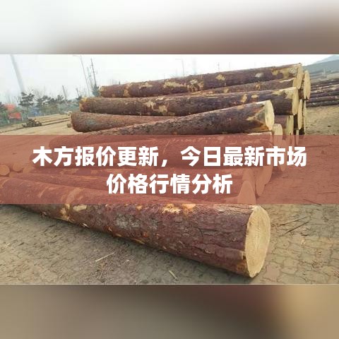 木方報價更新，今日最新市場價格行情分析