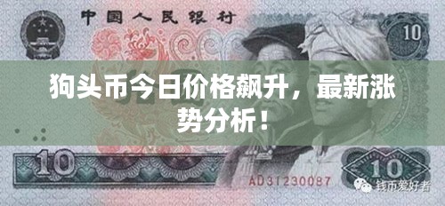 狗頭幣今日價(jià)格飆升，最新漲勢(shì)分析！