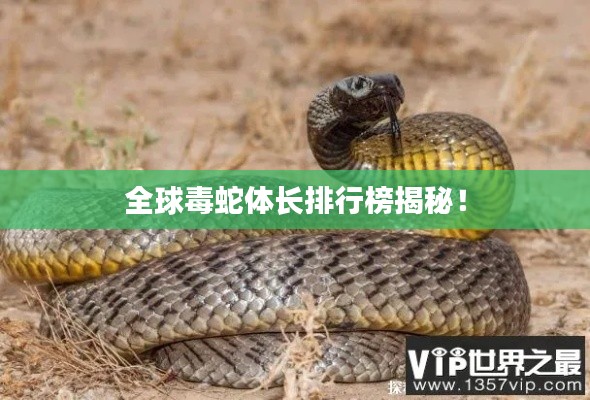 全球毒蛇體長排行榜揭秘！