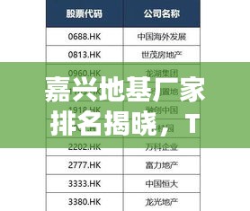嘉興地基廠家排名揭曉，TOP 10企業(yè)榜單