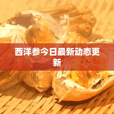 西洋參今日最新動態(tài)更新