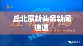 丘北最新頭條新聞速遞