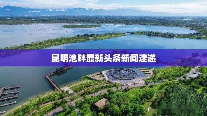 昆明池畔最新頭條新聞速遞