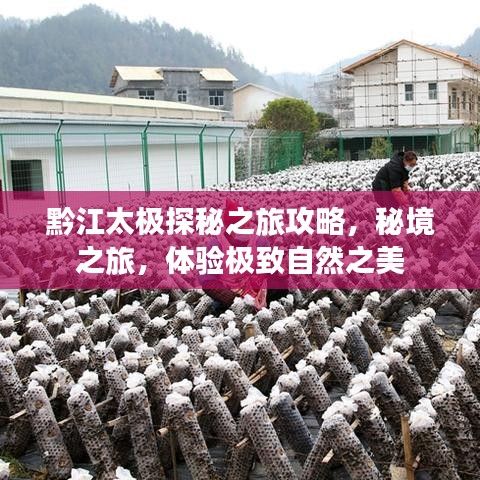 黔江太極探秘之旅攻略，秘境之旅，體驗(yàn)極致自然之美