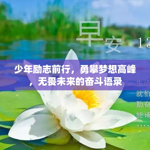 少年勵(lì)志前行，勇攀夢(mèng)想高峰，無畏未來的奮斗語錄