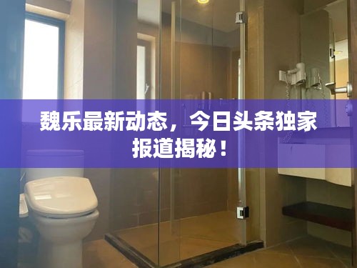 魏樂最新動態(tài)，今日頭條獨家報道揭秘！