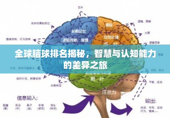 全球腦球排名揭秘，智慧與認知能力的差異之旅
