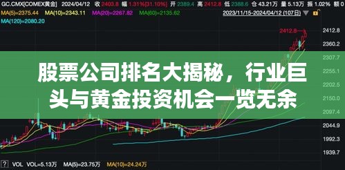 股票公司排名大揭秘，行業(yè)巨頭與黃金投資機(jī)會(huì)一覽無余