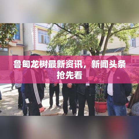 魯?shù)辇垬?shù)最新資訊，新聞?lì)^條搶先看
