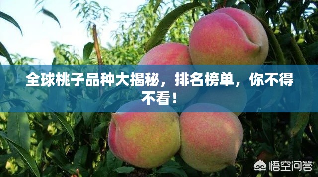 全球桃子品種大揭秘，排名榜單，你不得不看！