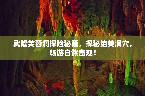 武隆芙蓉洞探險秘籍，探秘絕美洞穴，暢游自然奇觀！