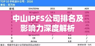 中山IPFS公司排名及影響力深度解析